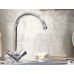 Смеситель Grohe Costa L 31812001 для кухонной мойки